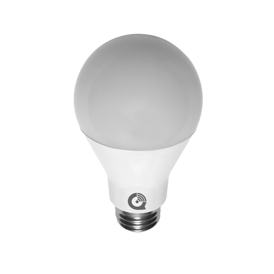 IQ Light Bulb